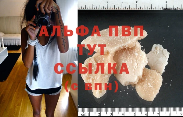 гашик Нея