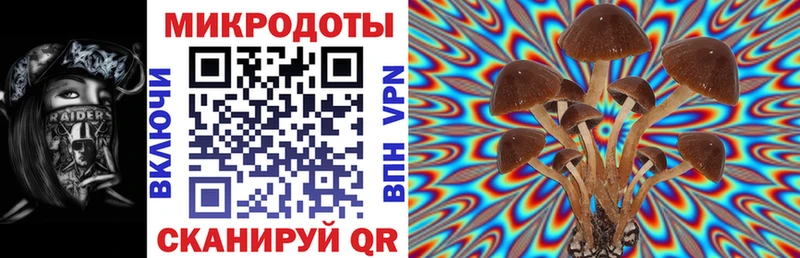 Псилоцибиновые грибы мухоморы  Белёв 